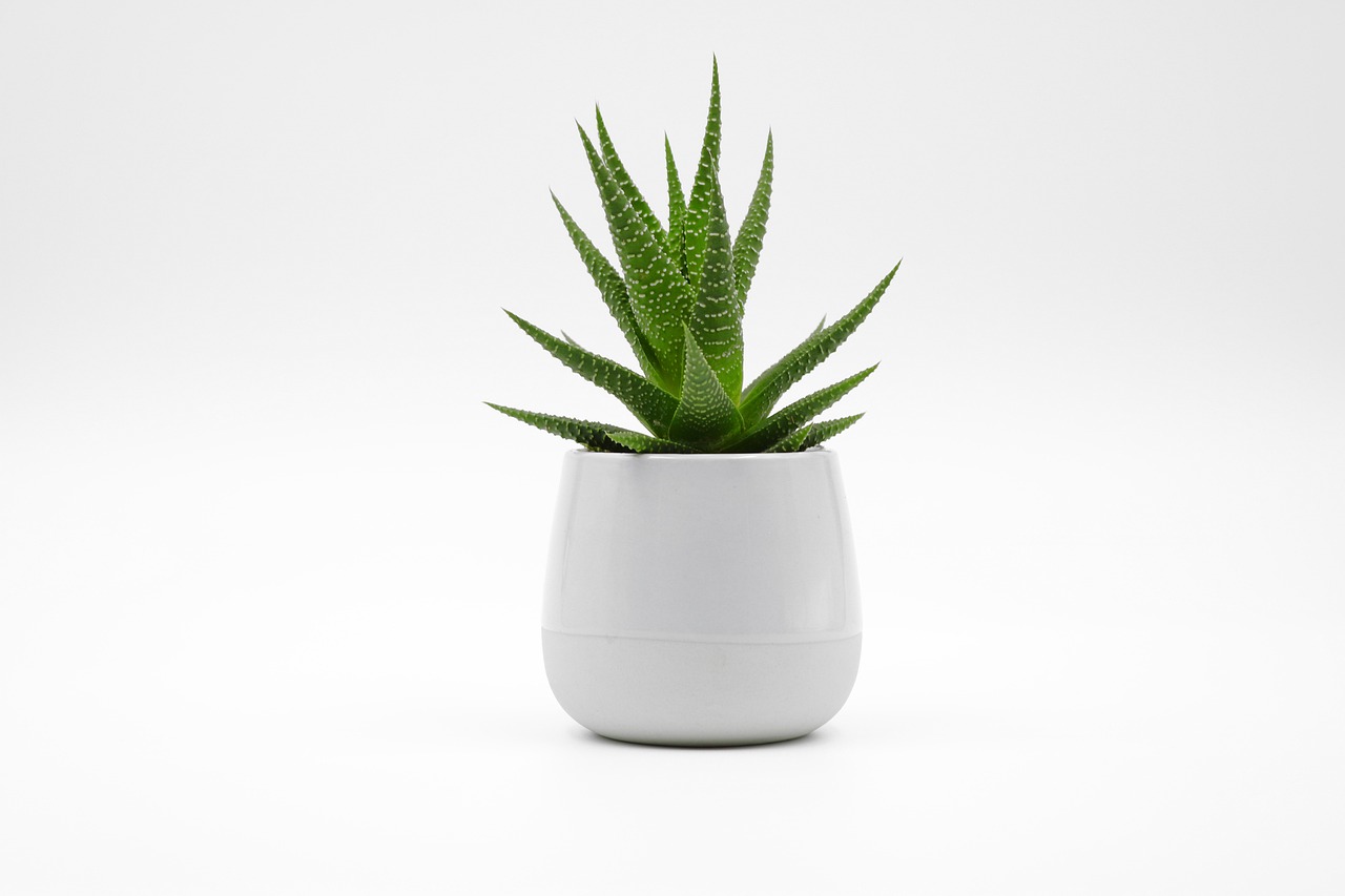 Top things to consider before buying a ceramic kiln